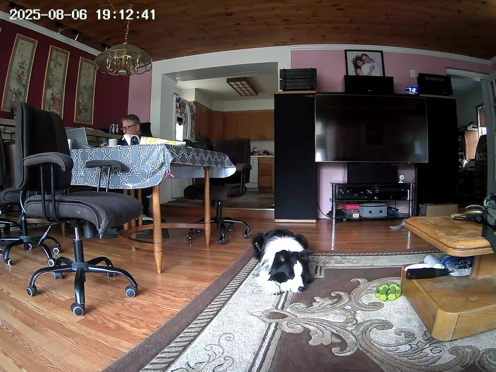 Energizer Smart Pet Treater with 2K Video Camera, 2-Way Audio, Night Vision, 5 Ghz & 2.4 Ghz Dual Band Wi-Fi, Motion Tracking, Recorded Messages, Dogs & Cats Remote Feeding, Cloud/MicroSD Card Storage customer photo 1