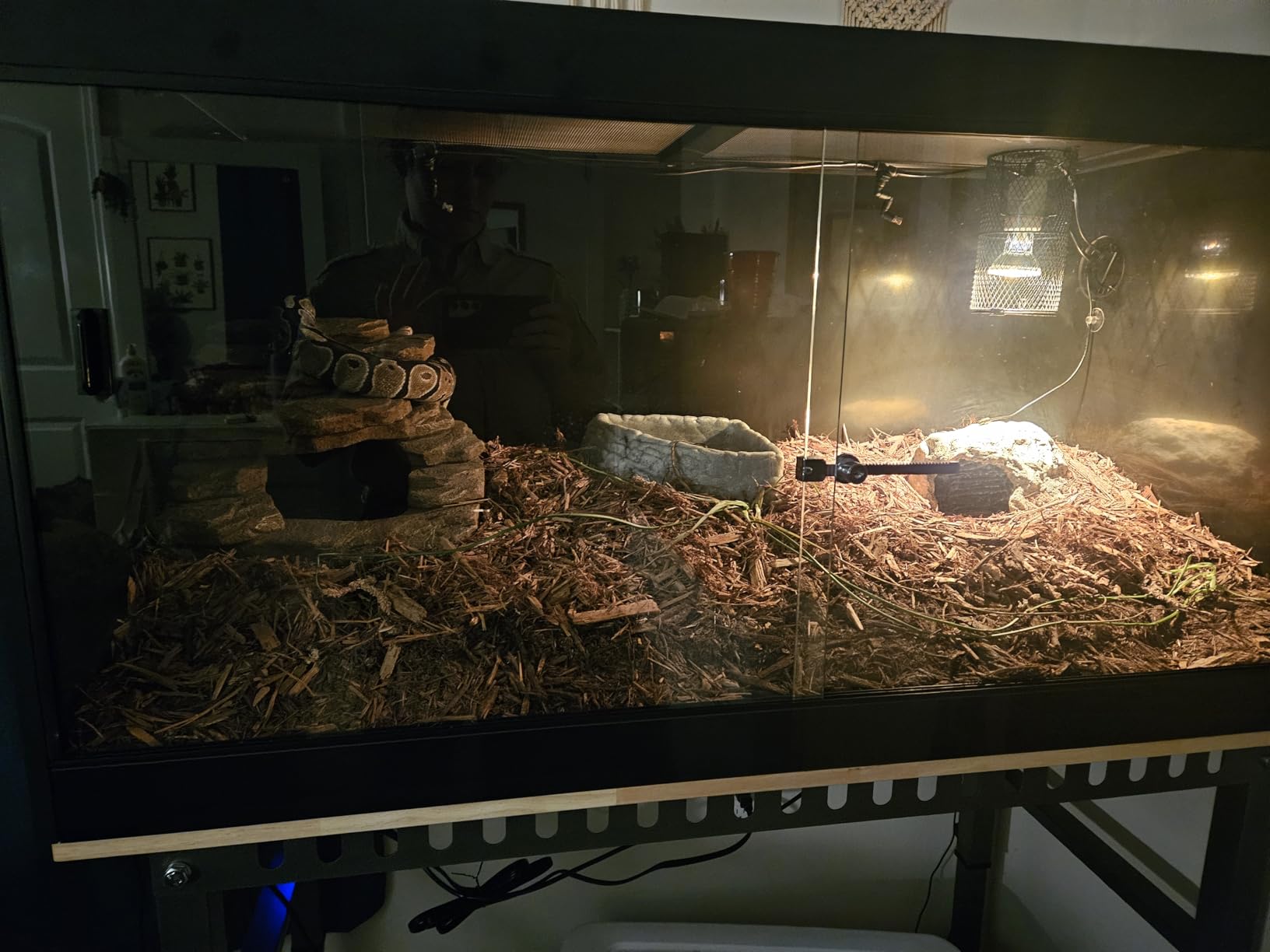 4x2x2 (120 Gallon) PVC Reptile Enclosure, RepWild Terrarium/Tank with Heavy-Duty Screen Top, Glass Sliding Doors & Lock for Bearded Dragons, Ball Python, Geckos, Lizards customer photo 1