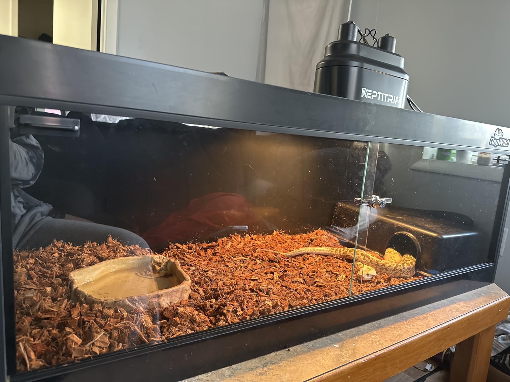 65 Gallon PVC Reptile Enclosure, RepWild 48