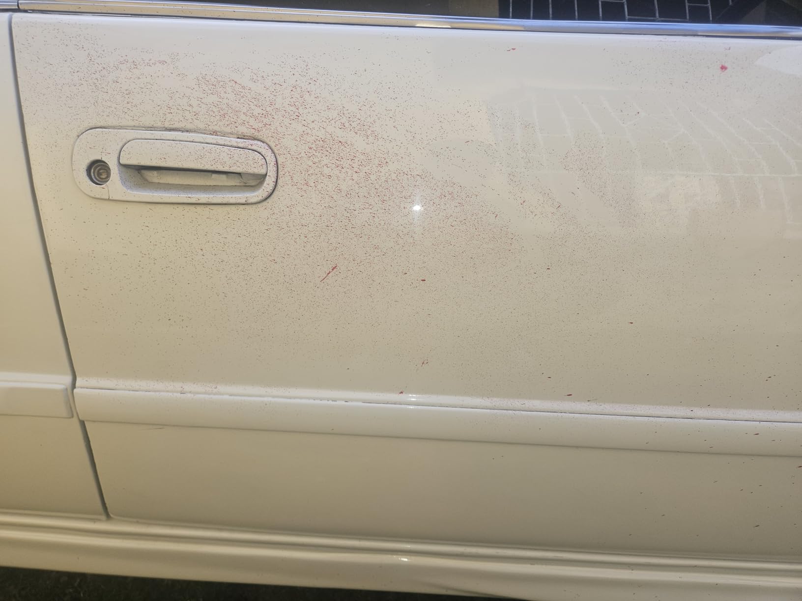 TEAWOO Clay Bar Kit, Car Detailing Kit for Car Detailing Cleaning customer photo 2