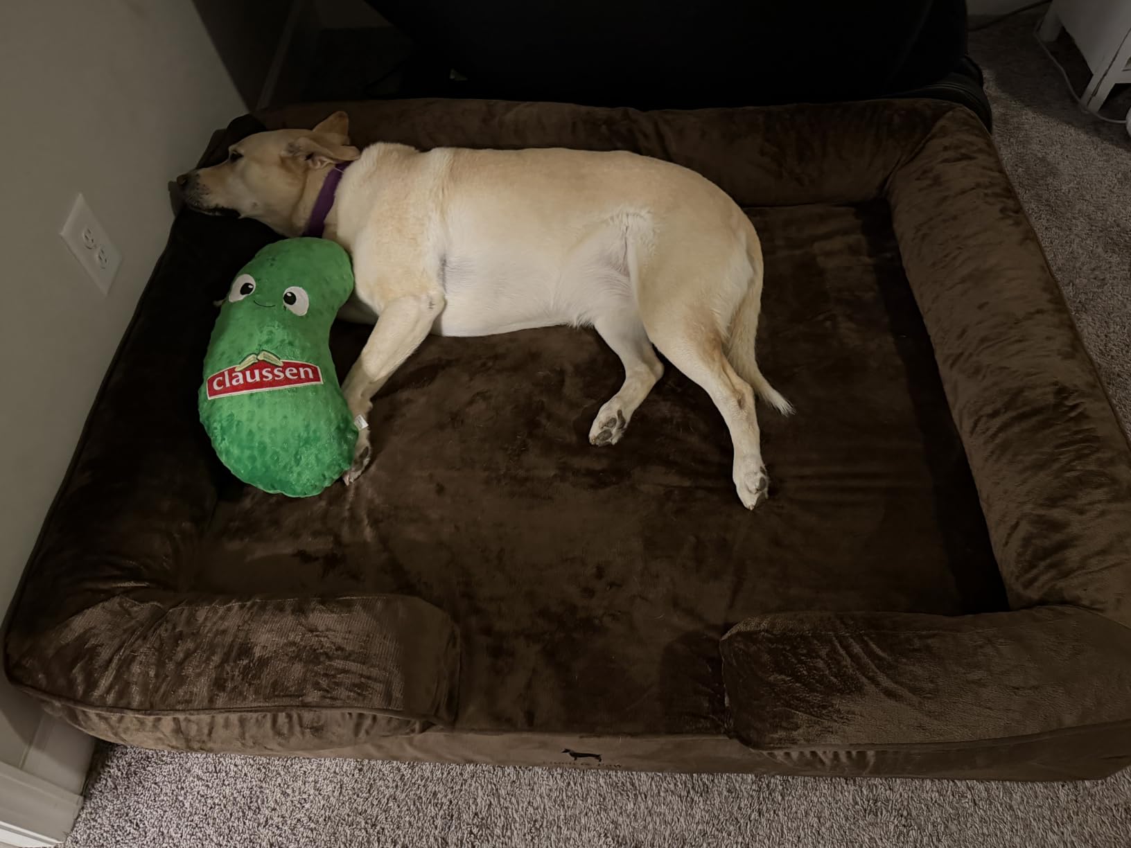 NOAH & PAW XXL Dog Bed, Orthopedic Memory Cooling Foam (2X Base) 55x45x11in customer photo 1
