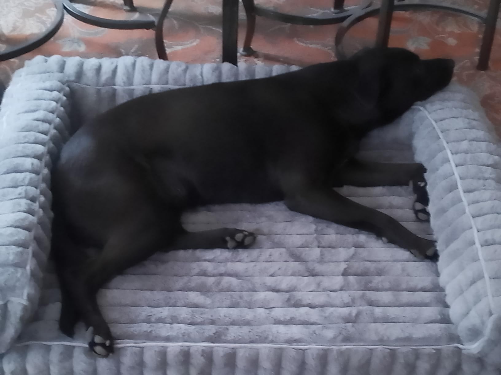 Bedsure ComfyFleece® Memory Foam Orthopedic Dog Beds Large Sized Dog 35