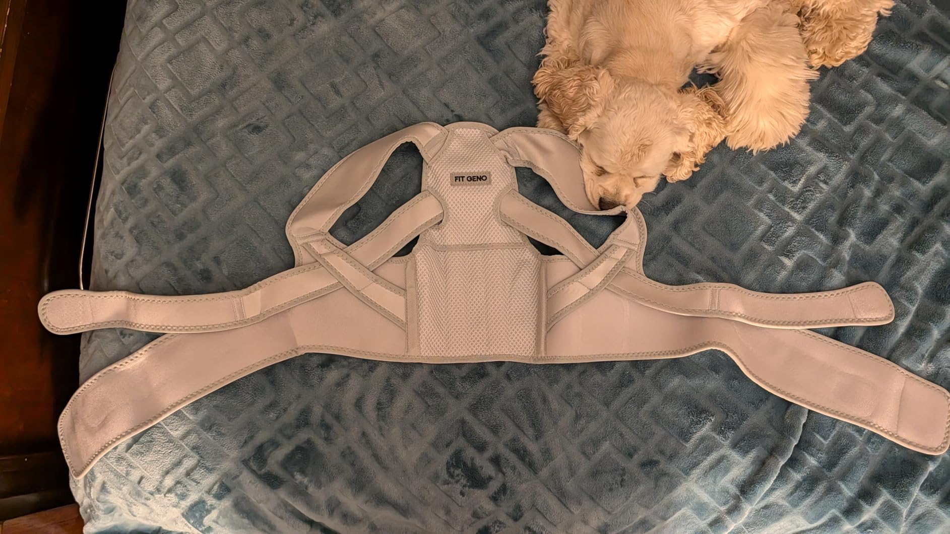Fit Geno Posture Corrector for Women Lite, Upper Back Brace for Slouching | An Adjustable, Lightweight Design Supports Your Neck, Shoulders, and Upper Back to Help You Sit and Stand Taller customer photo 1