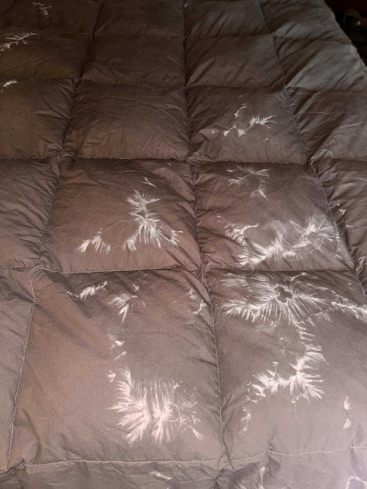 L LOVSOUL Goose Feather Down Fiber Comforter Queen, Grey, All Season customer photo 1