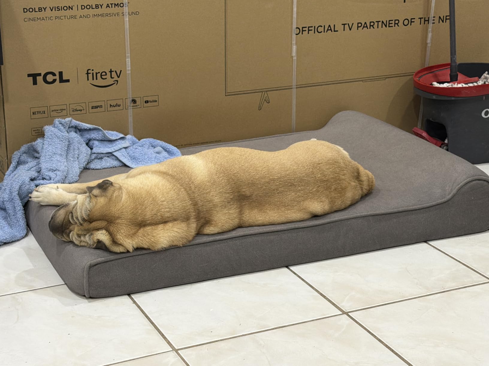 Sytopia XXL 35D Memory Foam Dog Bed for Extra Large Dogs – 7