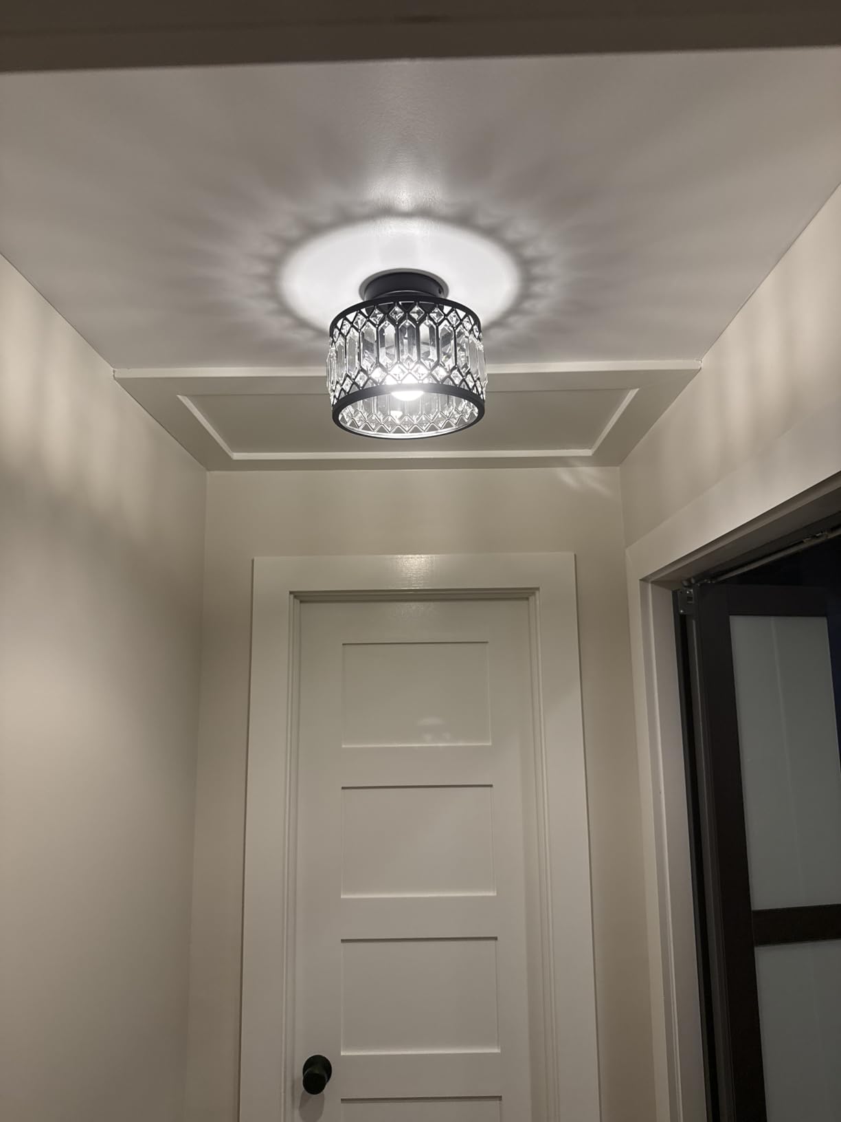 Rpzloila Crystal Ceiling Light Fixture, Modern Flush Mount Ceiling Light, Black Crystal Chandelier for Kitchen Bedroom Bathroom Entryway Hallway customer photo 2