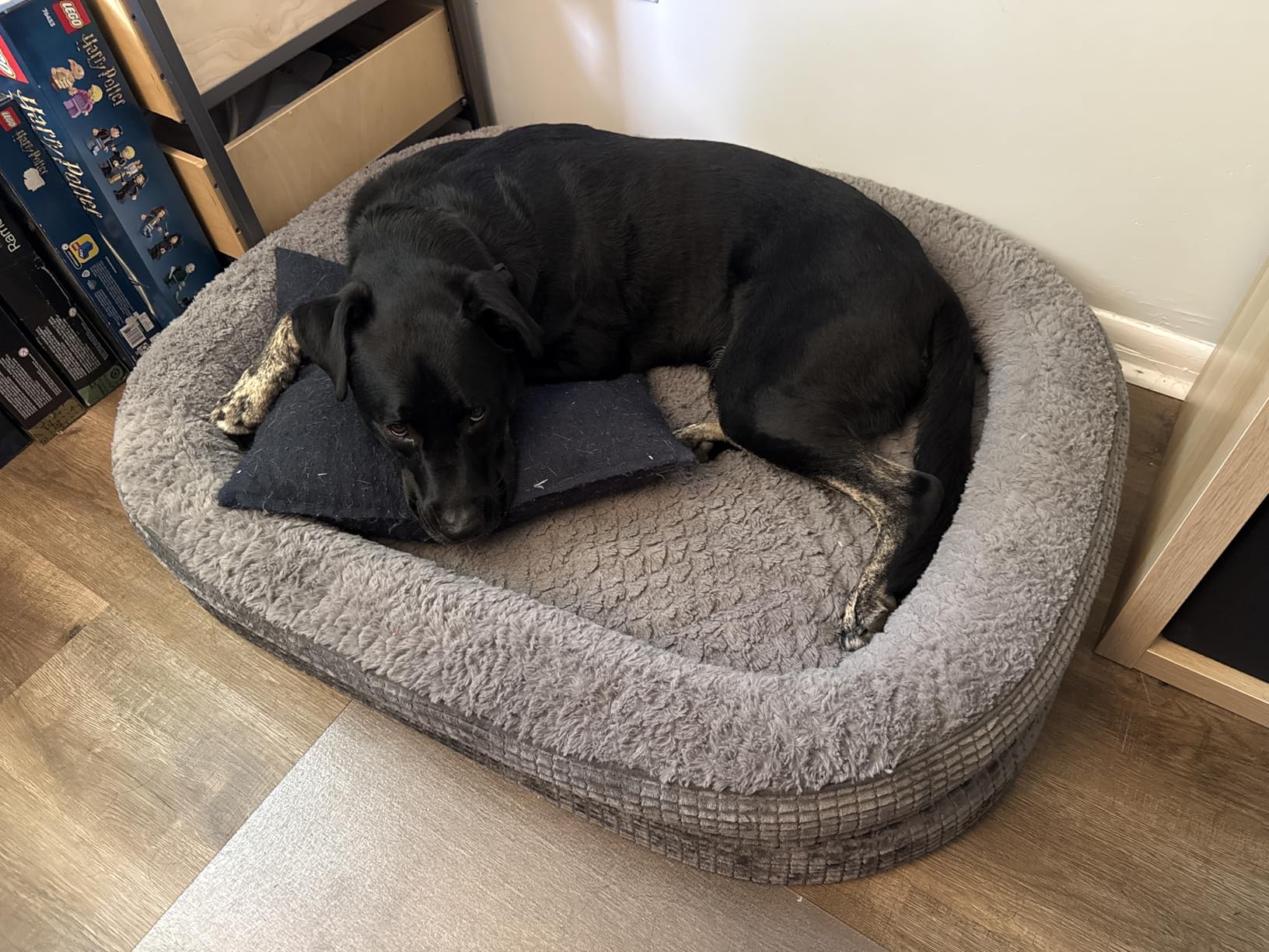 JOEJOY XL Orthopedic Dog Bed for Large Dogs, 360° Oval Bolster, 42