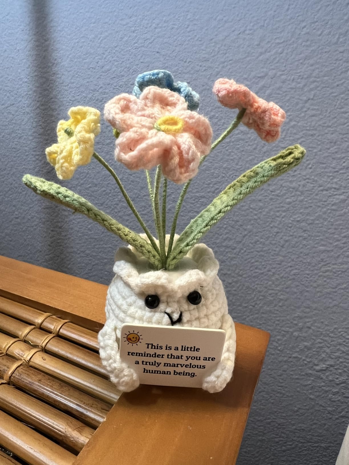 Forget-Me-Not Crochet Flower Potted Plant Gift customer photo 2