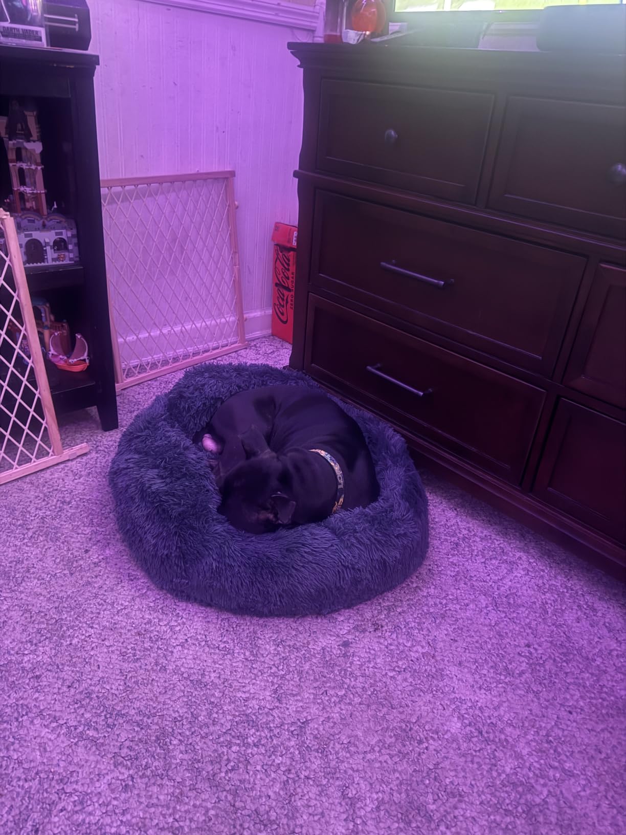 PetJett Calming Dog Bed Medium Size Dog - 30'' Donut Bed, Washable Dog Bed, Anti-Slip & Super Soft Fluffy Plush Round Dog Bed, Anti-Anxiety Premium Comfort Pet Bed, Fits Dogs Upto 45 lbs - Dark Grey customer photo 2