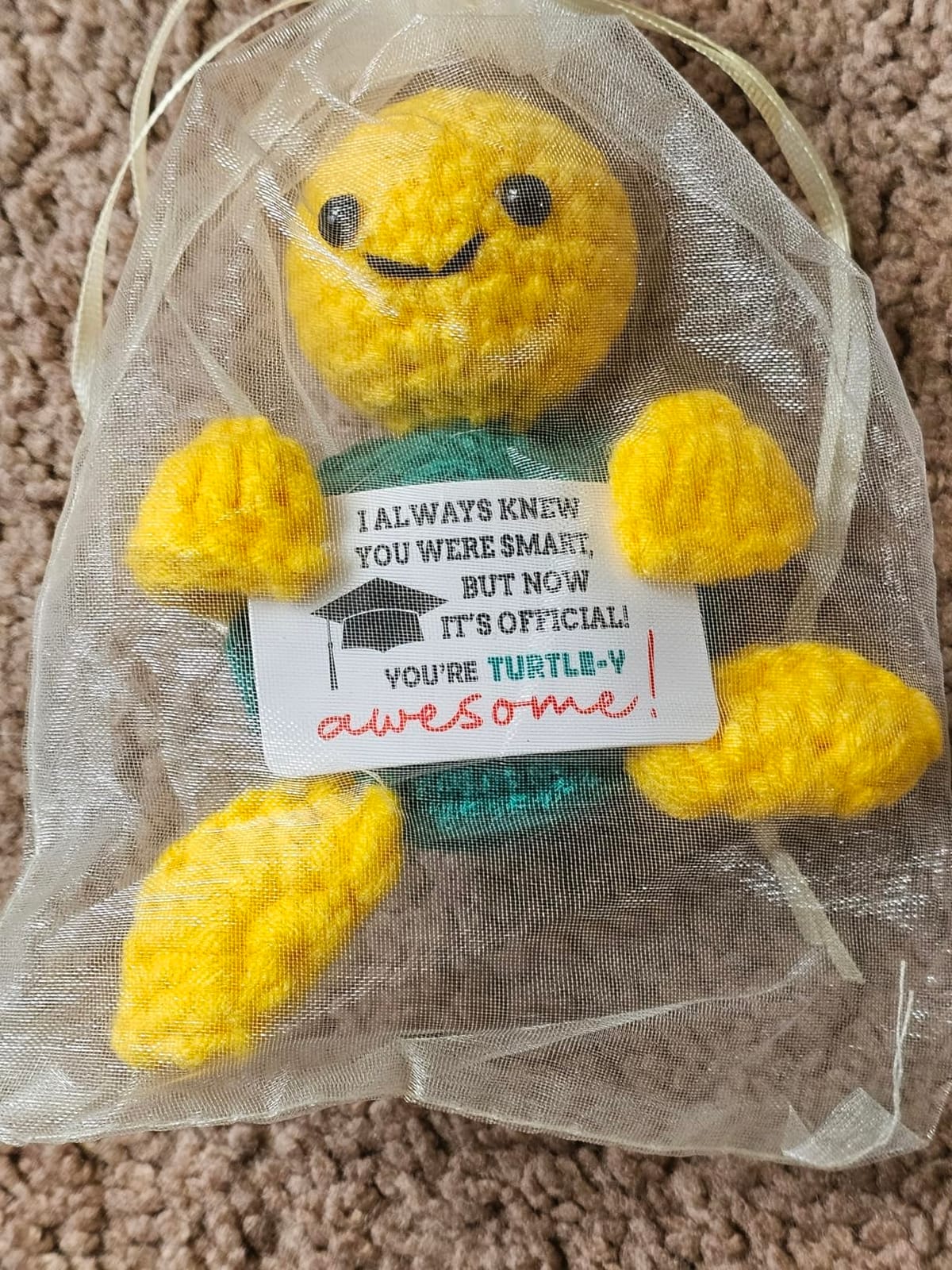Funny Christmas Turtle Bonus Dad Stepdad Gifts from Daughter Son, Fathers Day Birthday Gifts for Bonus Step Dad, I Love You Present, Cute Small Handmade Emotional Positive Support Crochet Desk Decor customer photo 1