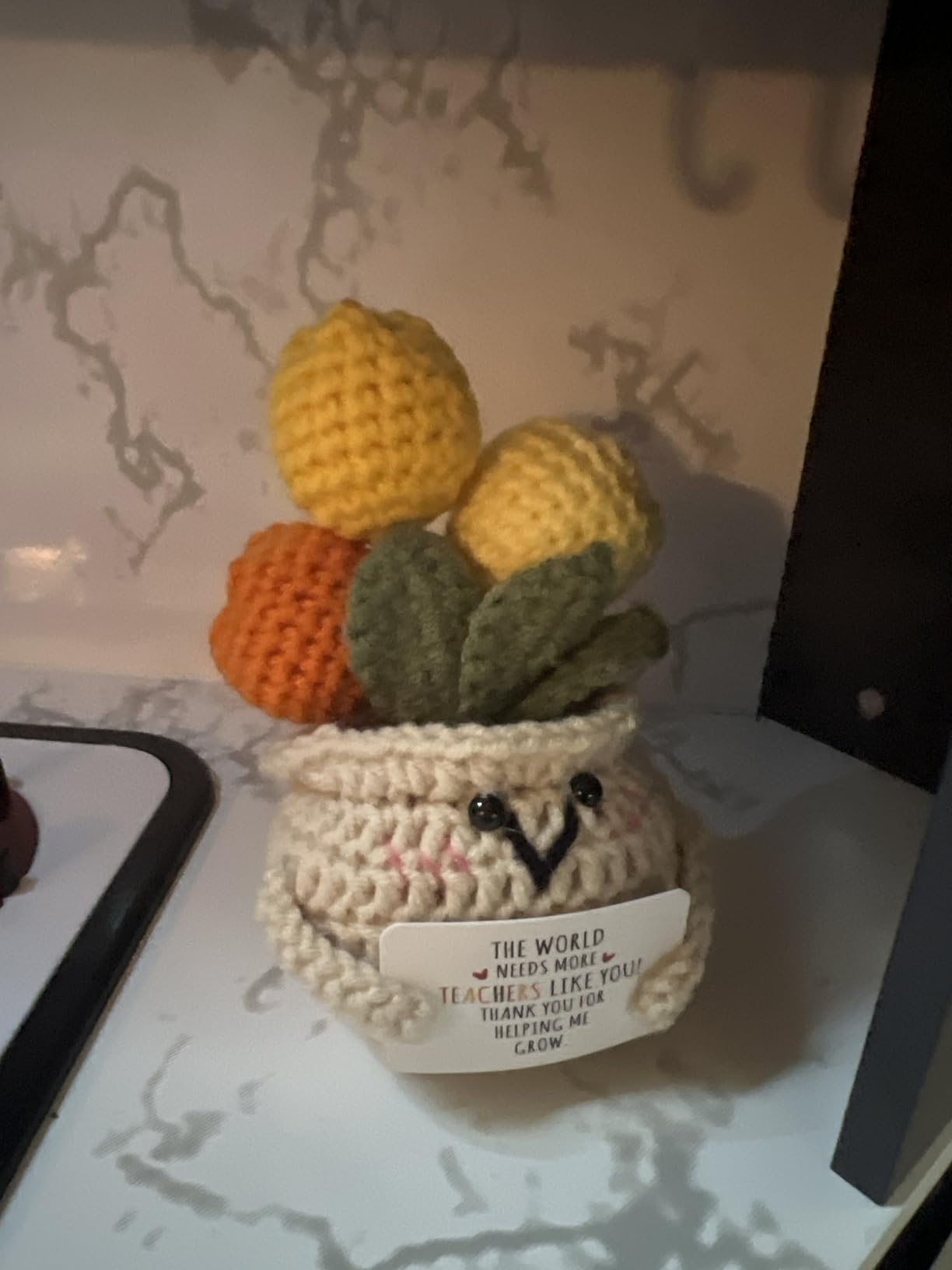 OASSIE Thank You Gifts for Women - Positive Emotional Support Crochet Tulip customer photo 2