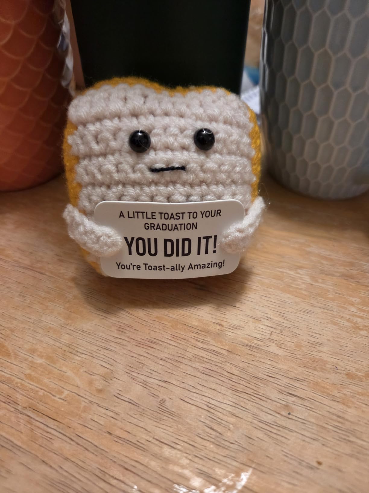 Crochet Toast New Job Gifts for Women, Men – Handmade Congratulations Gifts for Coworker, Friend, Son, Daughter, Employee, Boss – Funny Promotion, Career Change or, Leaving Workor Present Decor customer photo 1