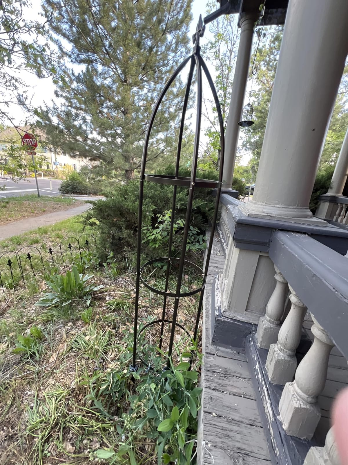 Garden Obelisk Trellis 100% Metal Heavy Duty 5.5 ft for Climbing Vines | Upgraded 16mm Thick Steel Tubes Bronze Rustproof Tower, Medium Plant Support Stands for Flowers, Roses, Clematis & Tomatoes customer photo 2