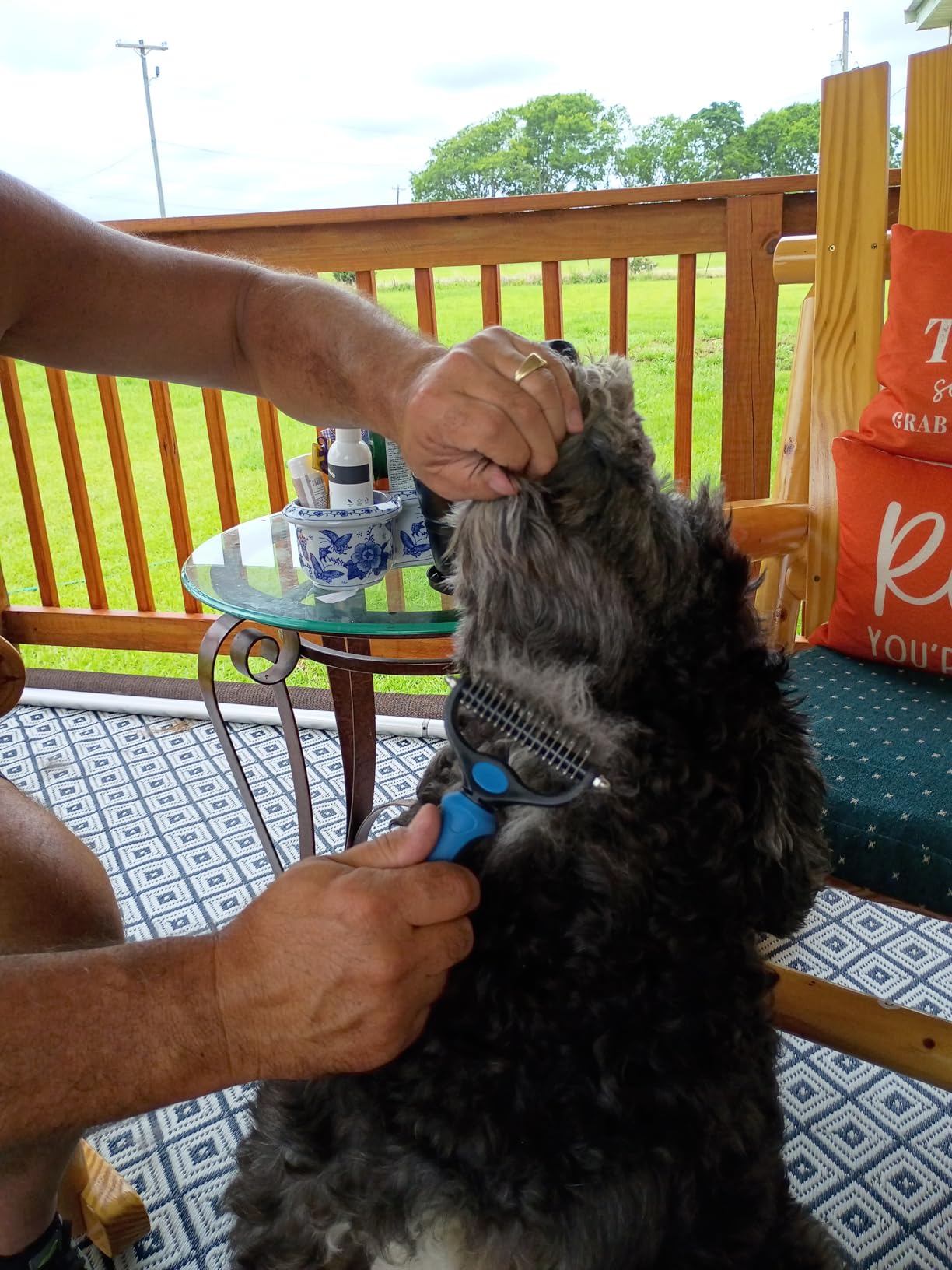 Pat Your Pet Deshedding Dog Brush For Shedding – Cat Brushes For Indoor Cats, Double-Sided Cat Brush Deshedding & Grooming Tool For Long Haired And Short Haired Dogs, Skin-Friendly customer photo 1