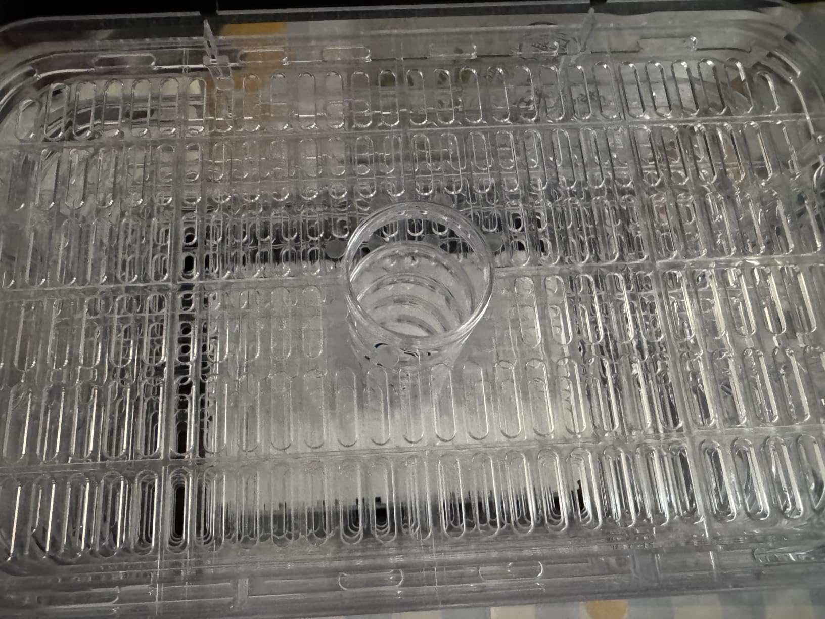 Small Food Dehydrator for Jerky, Fruit, Herbs & Pet Treats customer photo 2