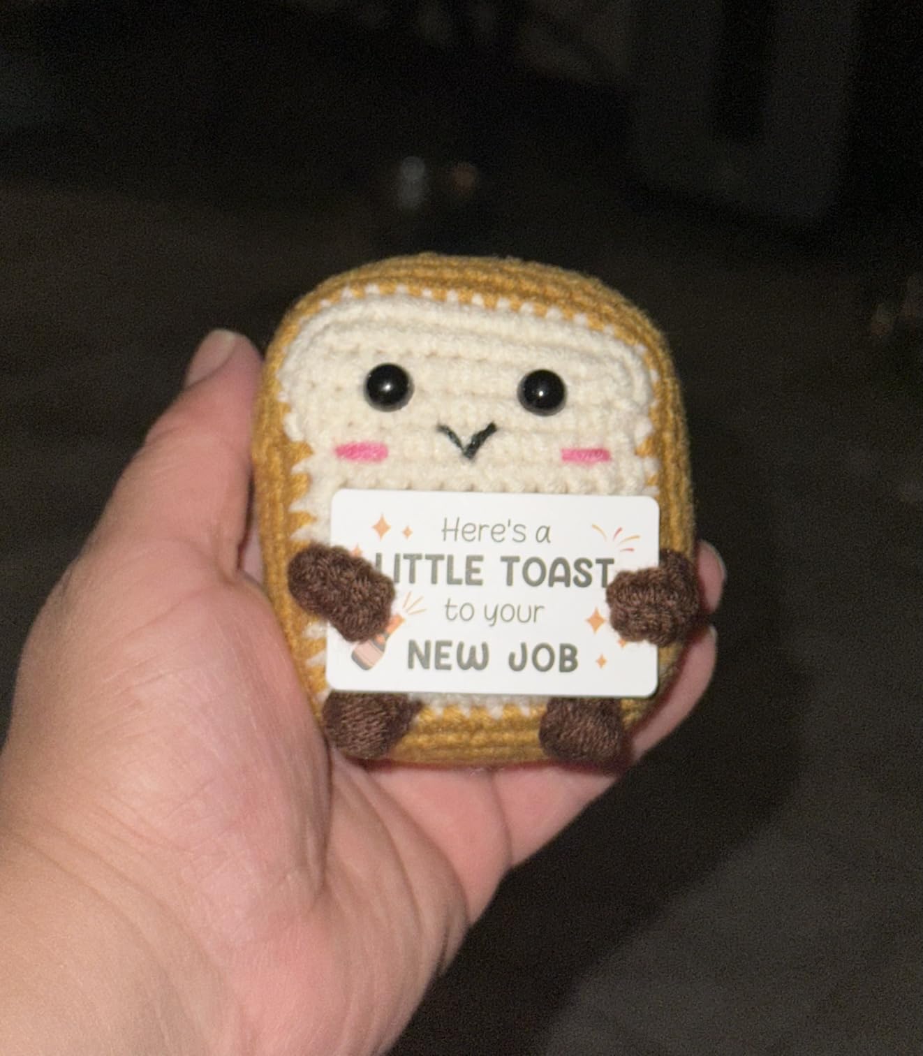 30th Birthday Gifts for Her Him, Positive Handmade Crochet Toast Gift for 30th Birthday Decorations, Birthdays Gift for Women Men 30, Thirty Bday Decors for Best Friend Sister Daughter Wife customer photo 2