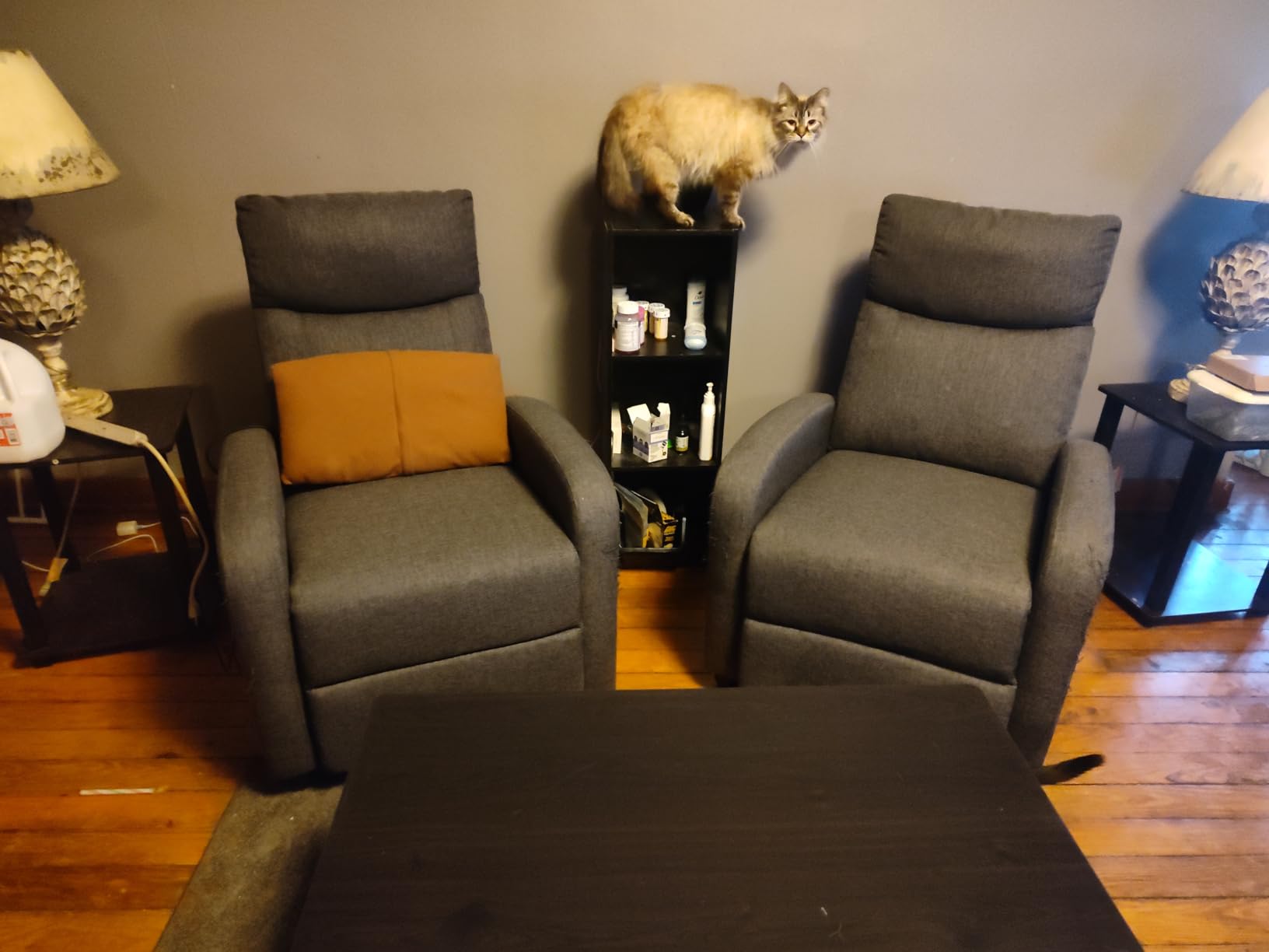Sweetcrispy Recliner Chair Fabric Recliner Sofa No Massage, Home Theater Seating with Lumbar Support, Adjustable Push Back Overstuffed High-Density Sponge Reclining for Living Room, Slate Gray customer photo 1