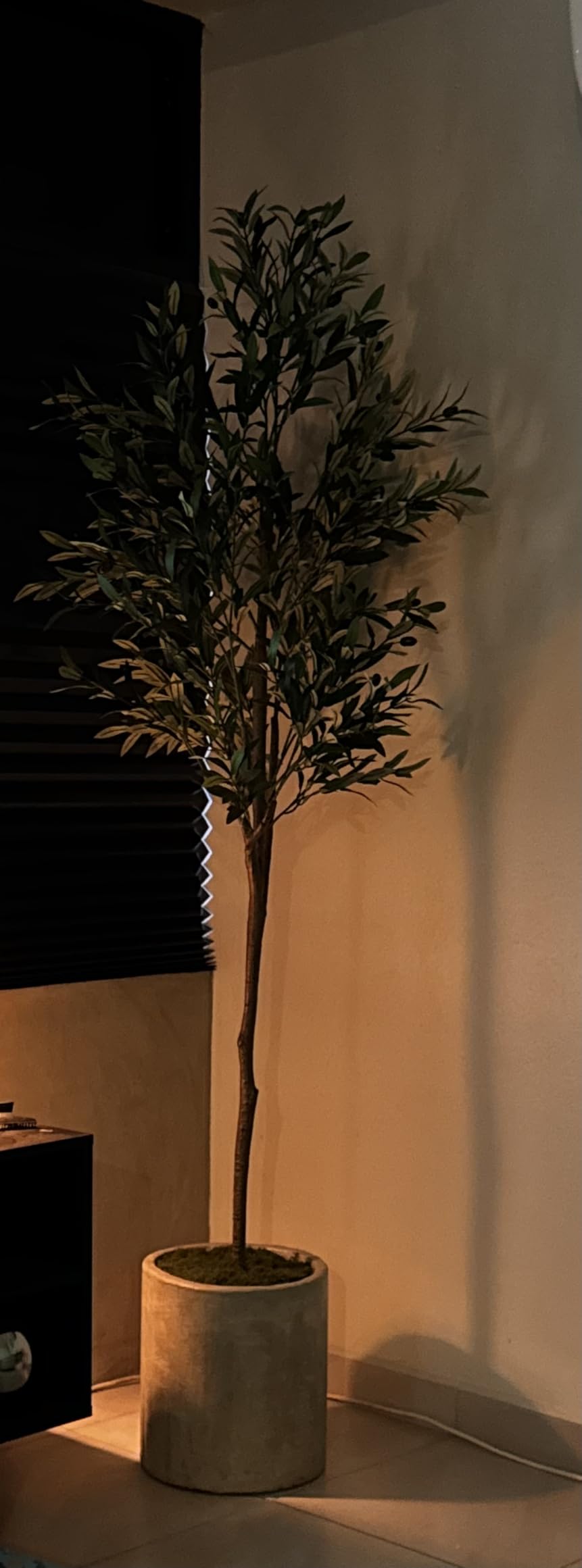Alupssuc 6ft Faux Olive Tree with Lifelike Fruits and Realistic Leaves customer photo 1