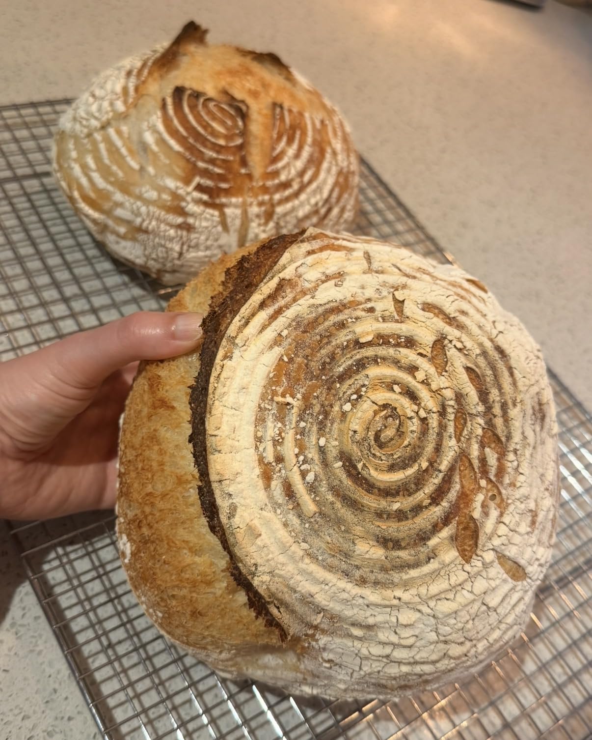 Superbaking Sourdough Starter Kit: 9