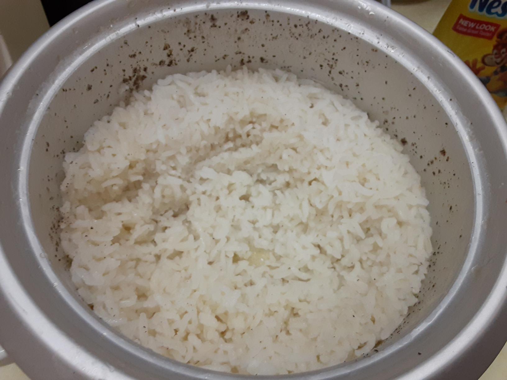 Elite Gourmet ERC003BX Rice Cooker, Keep Warm, Black, 6 Cups Cooked customer photo 1