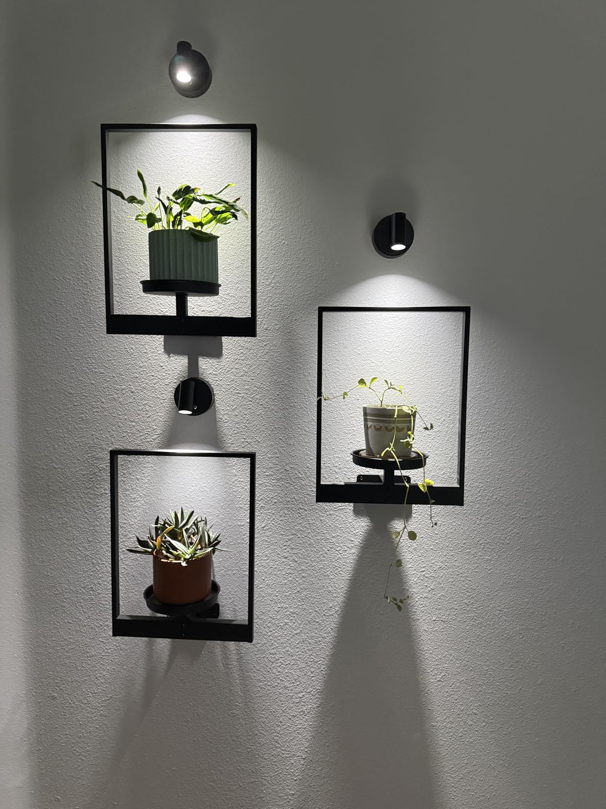 Bamworld Hanging Planters for Indoor Plants Wall Decor Living Room Light customer photo 1