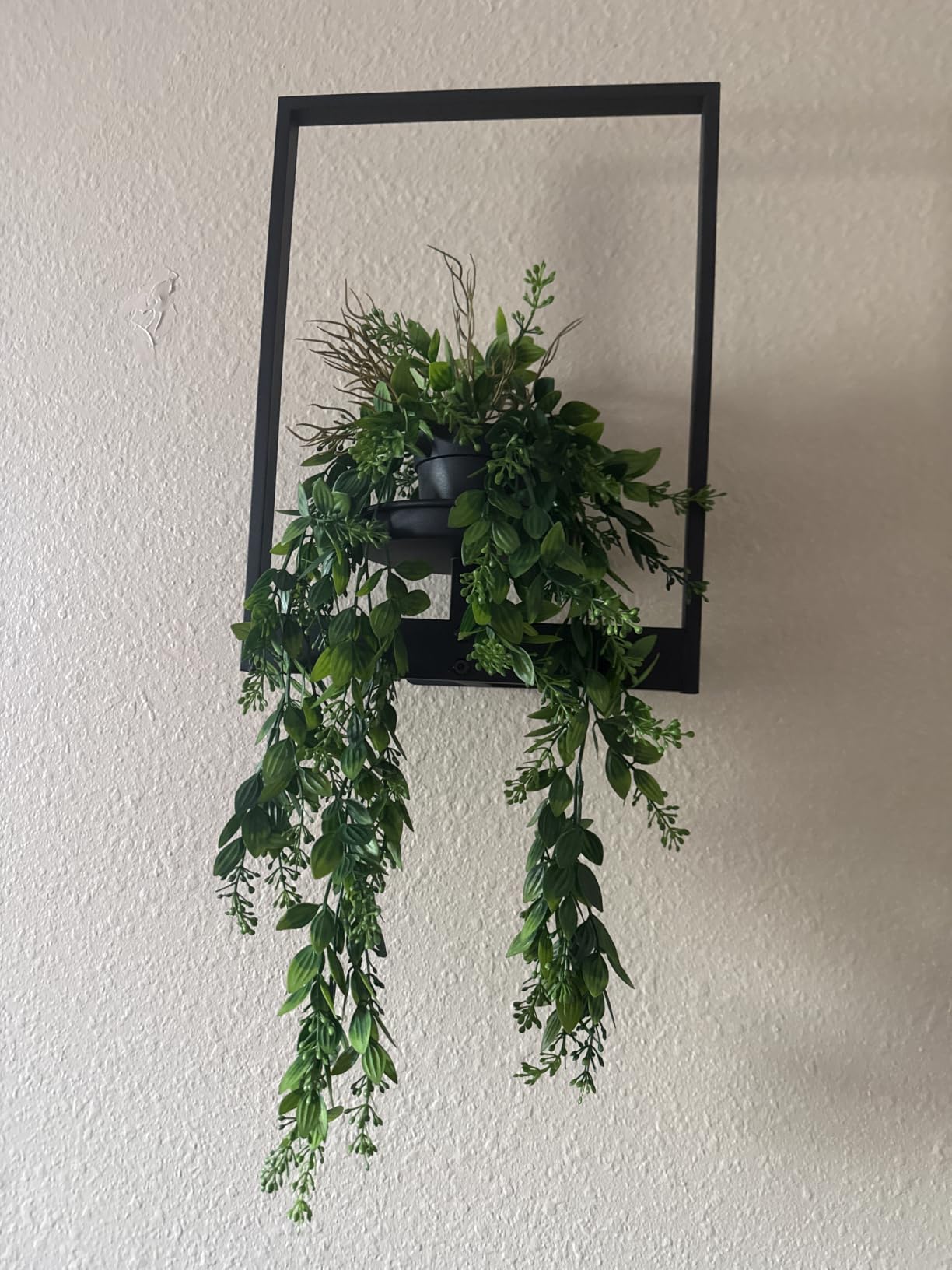 Bamworld Hanging Planters for Indoor Plants Wall Decor Living Room Light customer photo 2
