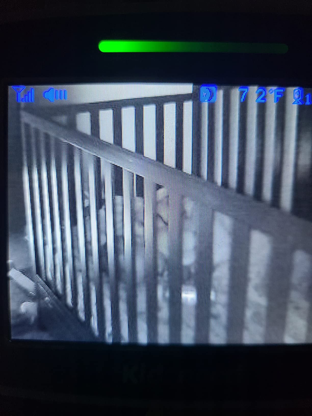 Kidsneed 5” Baby Monitor with Camera and Audio No WiFi customer photo 2