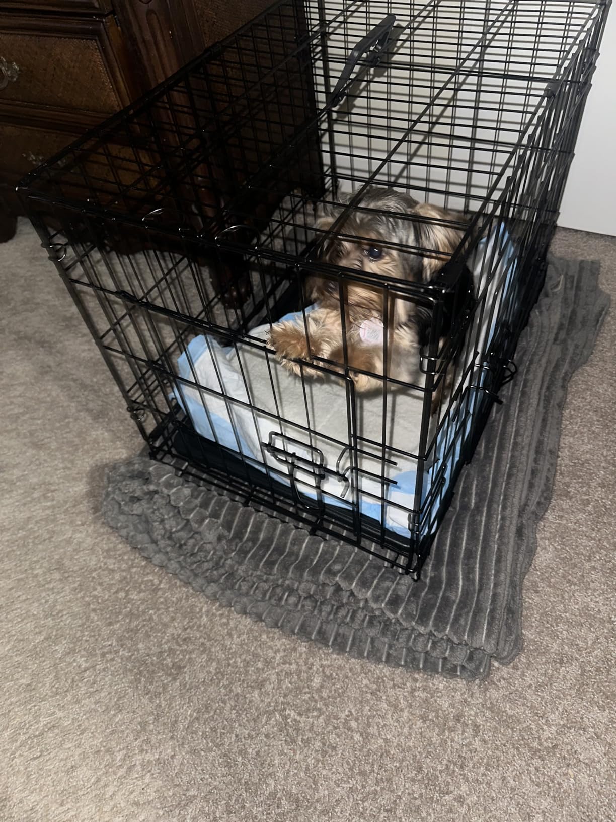 Sweetcrispy 36 Inch Dog Crate, Medium Dog Cage, Foldable Puppy Pet Kennel customer photo 2
