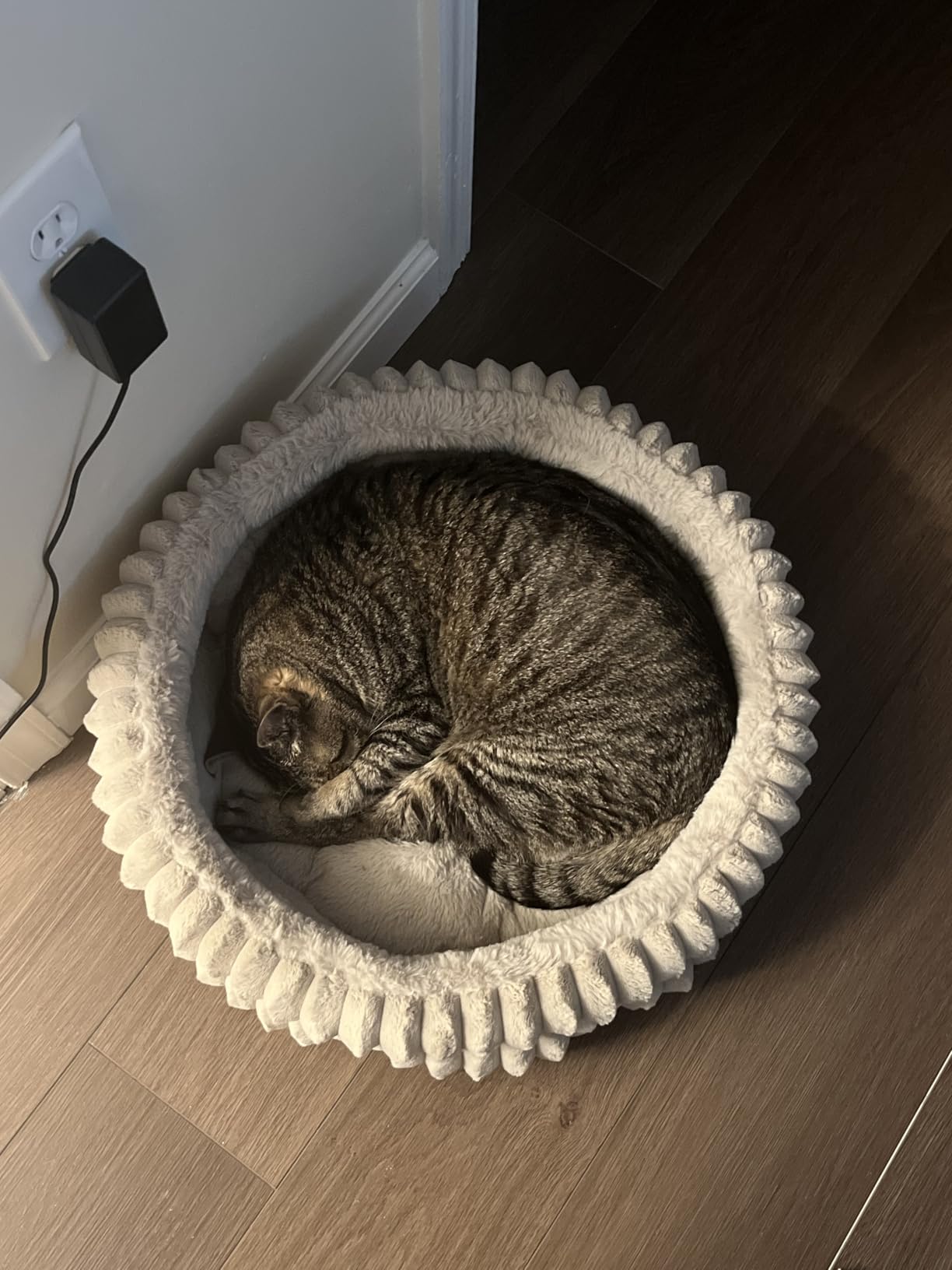 BALANCE Donut Dog Bed, 36 Inches Round Dog Bed Large Size Dogs Washable, Orthopedic Calming Dogs Beds for Kitten, Fluffy Plush Faux Fur Pet Bed with Anti-Slip Bottom customer photo 1