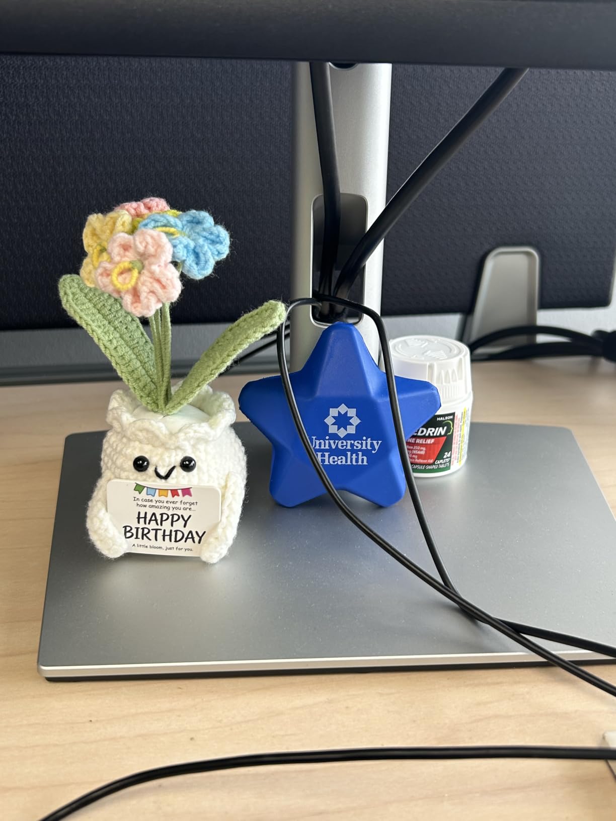 Crochet Forget Me Not Flower Pot Birthday Gifts for Women customer photo 1