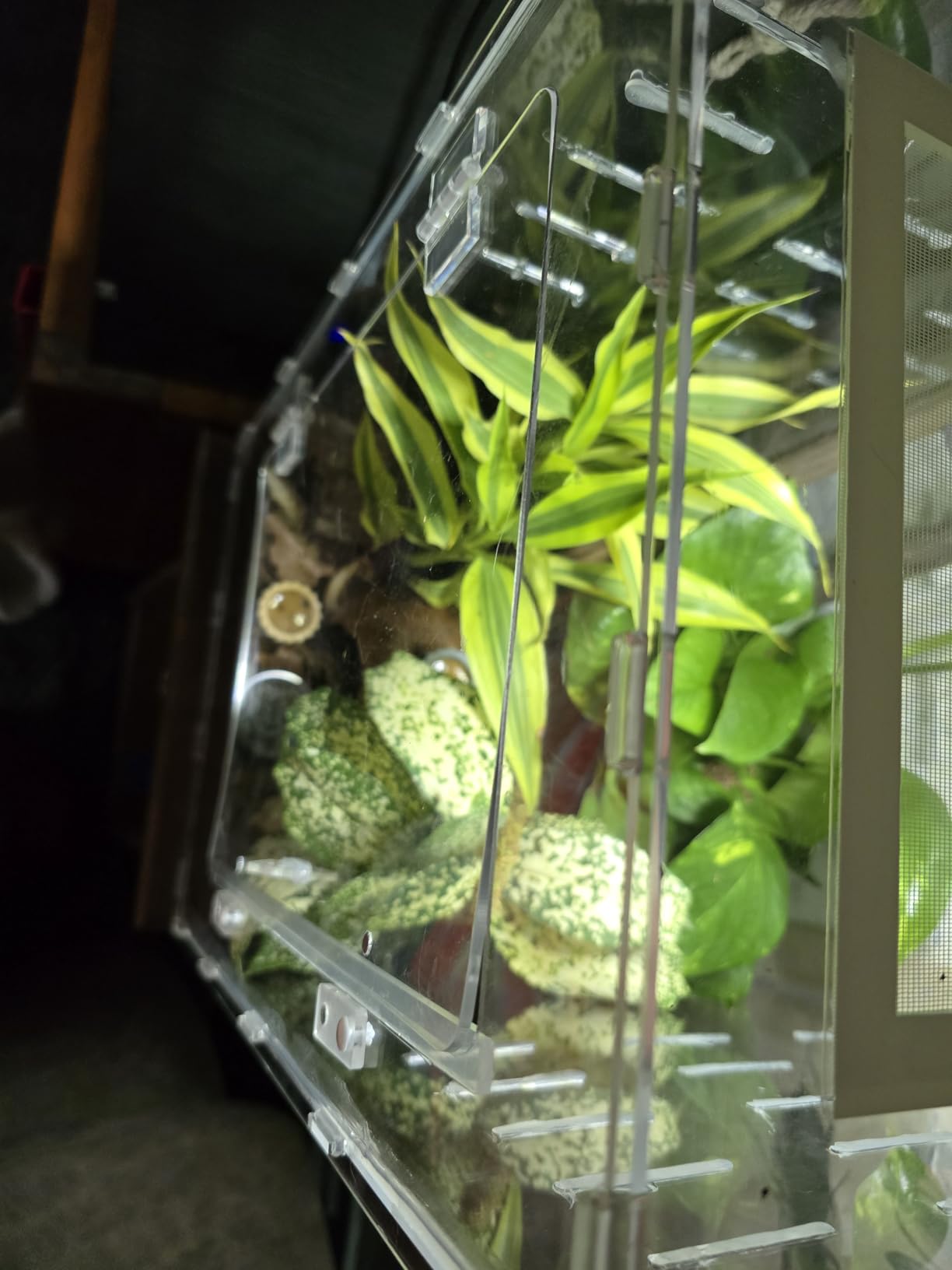 12x12x18 Black PVC Reptile Enclosure, Front Opening Tank with Screen Top customer photo 1