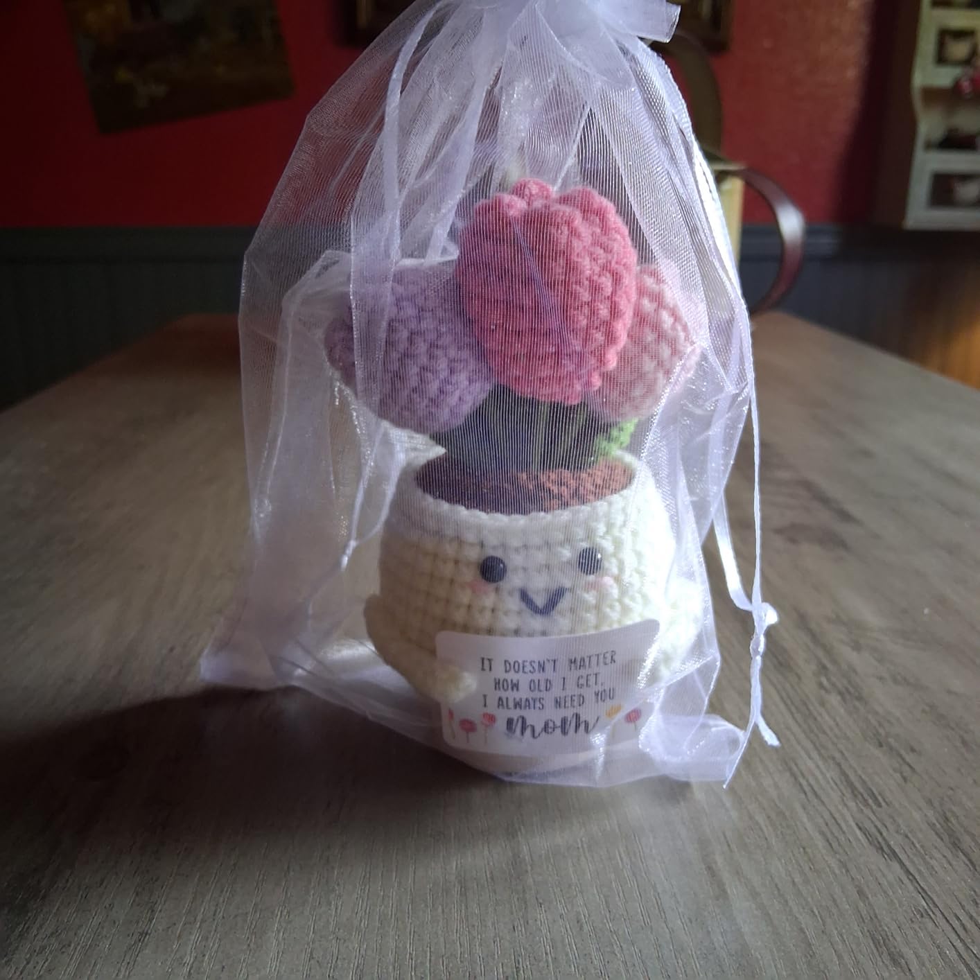 Mother in Law Gifts, Christmas Wedding Birthday Gifts for Mother Mom in Law customer photo 2