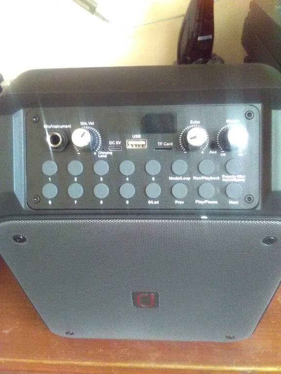 HWWR Karaoke Machine with 2 Mics for Adults & Kids, All-in-One Karaoke Set customer photo 2