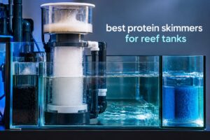 best protein skimmers for reef tanks
