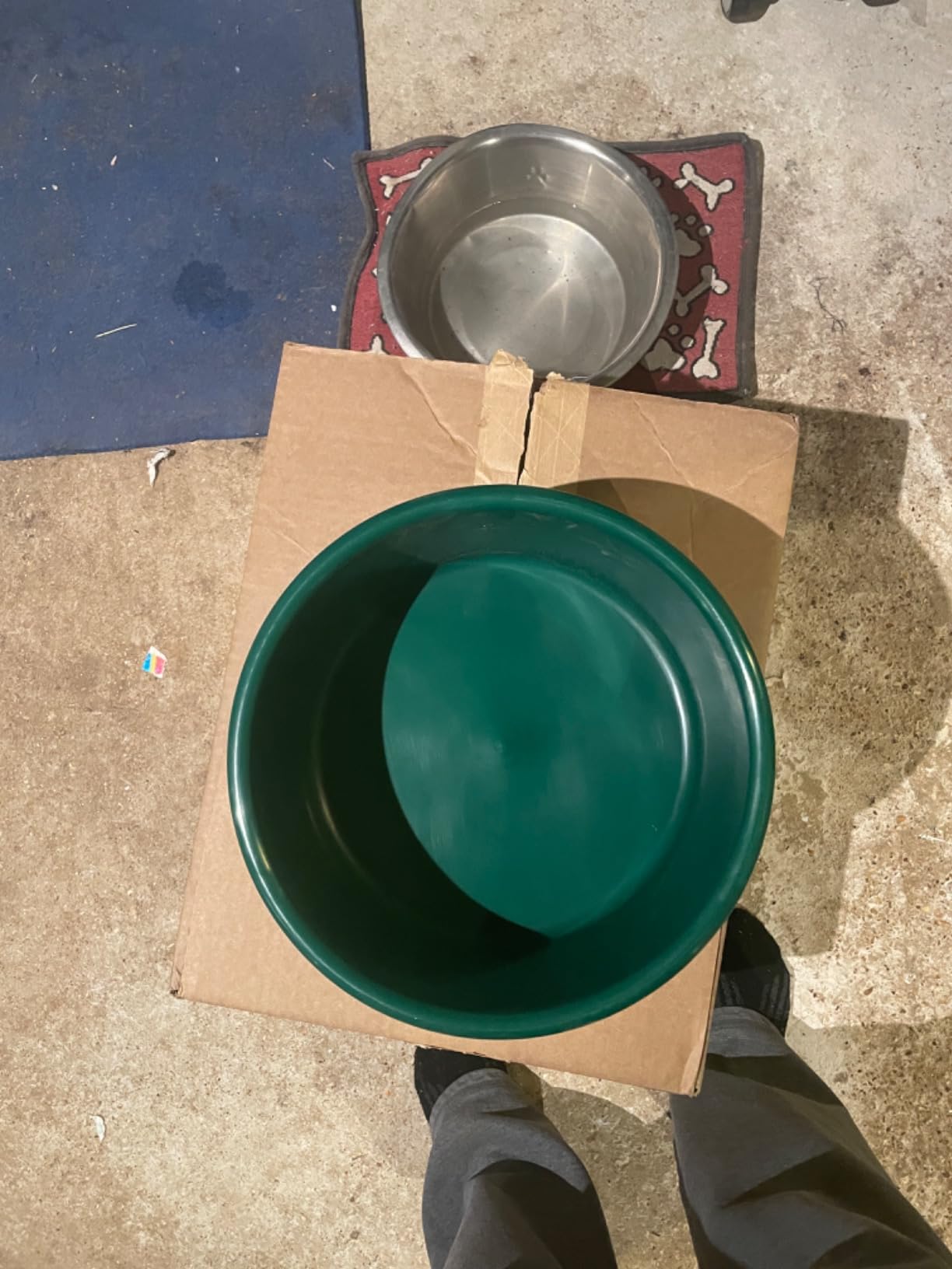 Farm Innovators Heated Pet Water Bowl, 60W, 1.5 Gallon customer photo 1