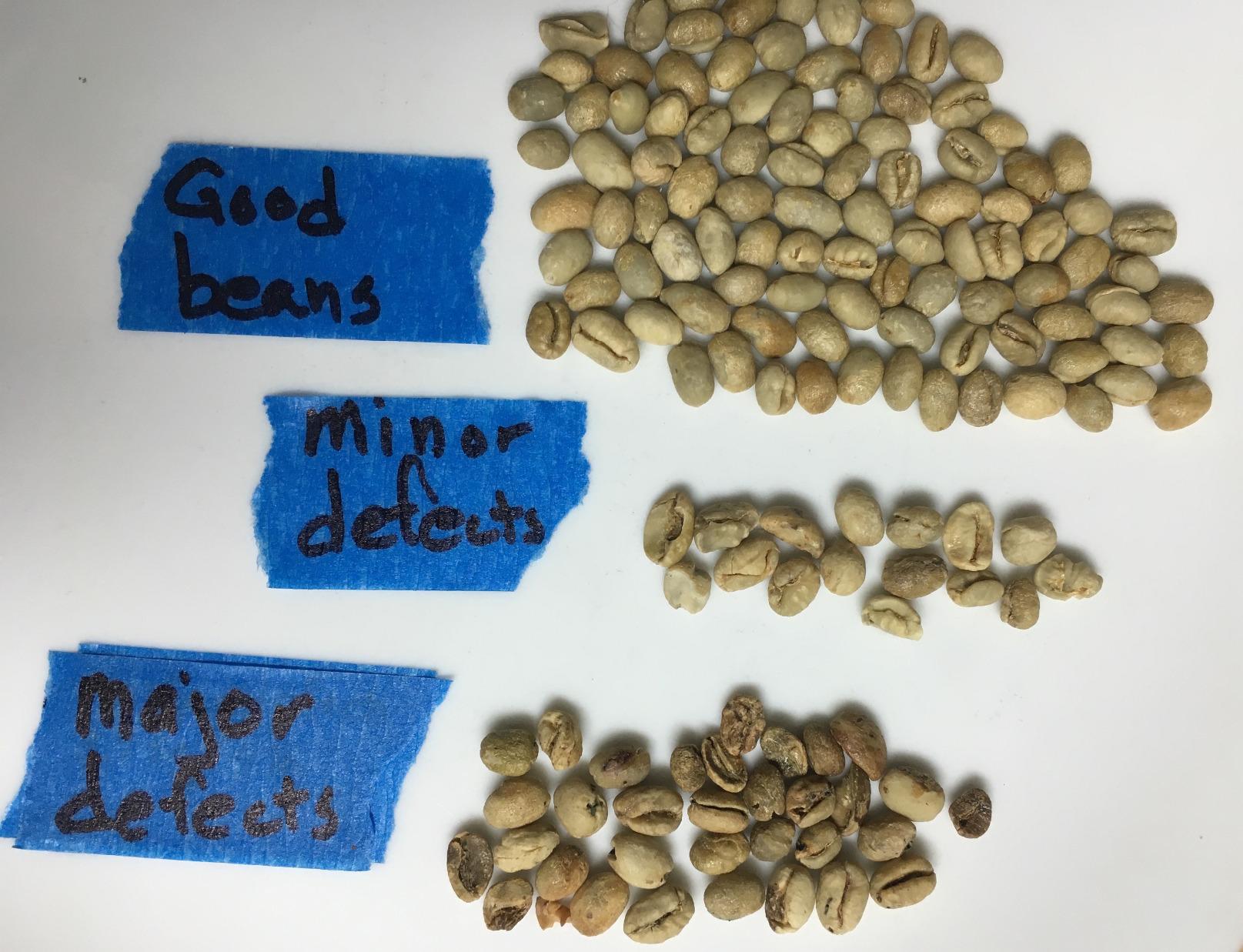 Smokin Beans Tanzania Peaberry, Unroasted Green Coffee Beans, 5-Lb, 1ct customer photo 1
