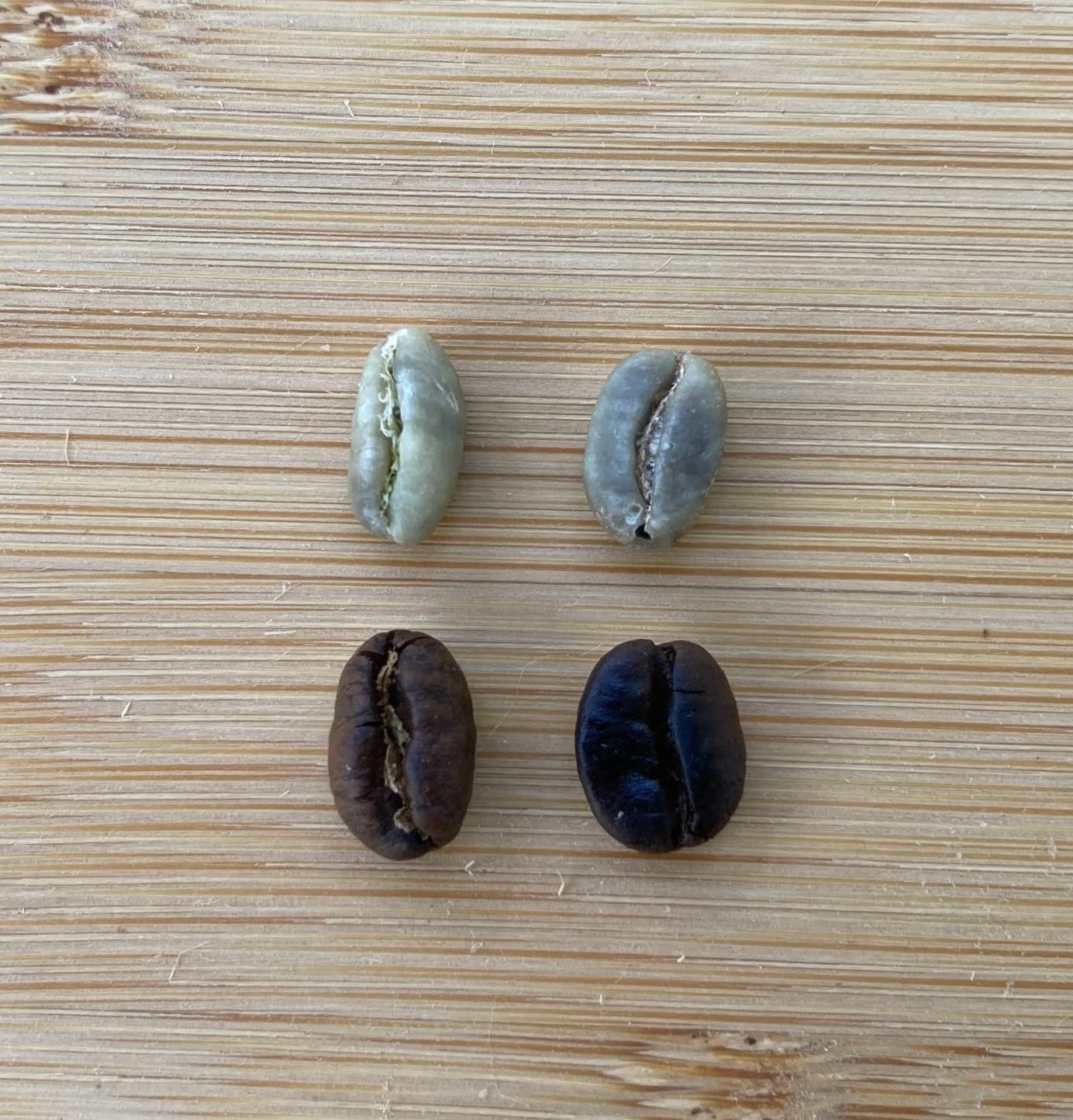 Smokin Beans Tanzania Peaberry, Unroasted Green Coffee Beans, 5-Lb, 1ct customer photo 2