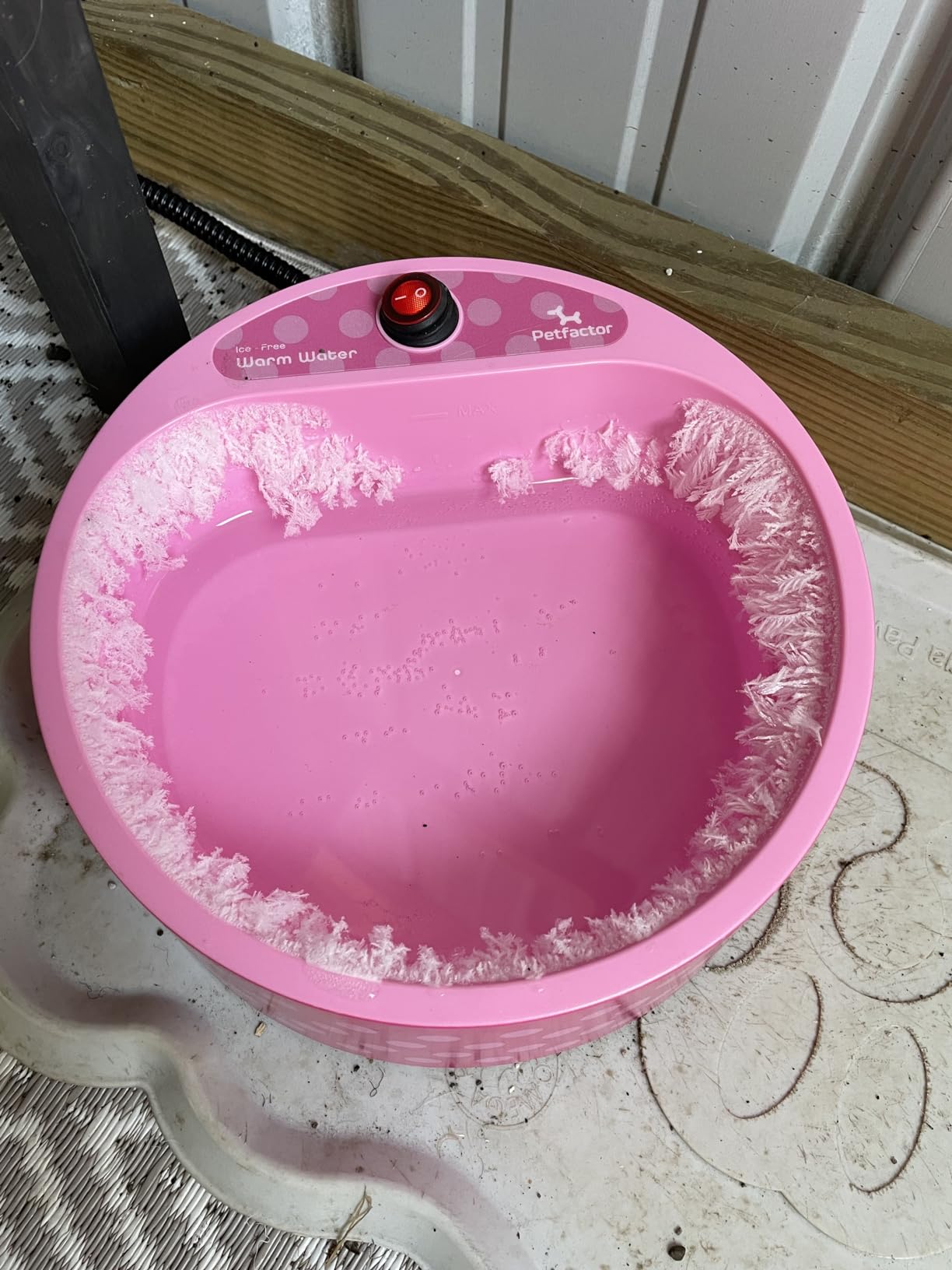 Heated Pet Bowl, Outdoor Pet Thermal Water Bowl, Dog Cat Heated Water Bowl with 69 Inch Chew Resistant Cord and Waterproof ON/Off Switch customer photo 1