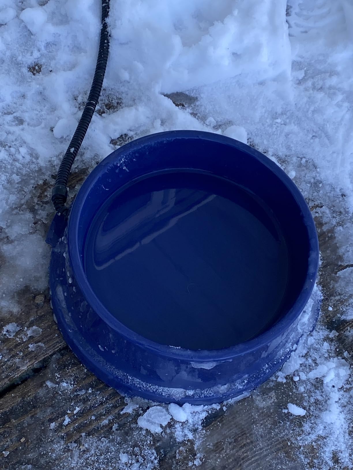 K&H Heated Water Bowl, Thermal-Bowl for Cats & Dogs, Safety Listed, 25W customer photo 1