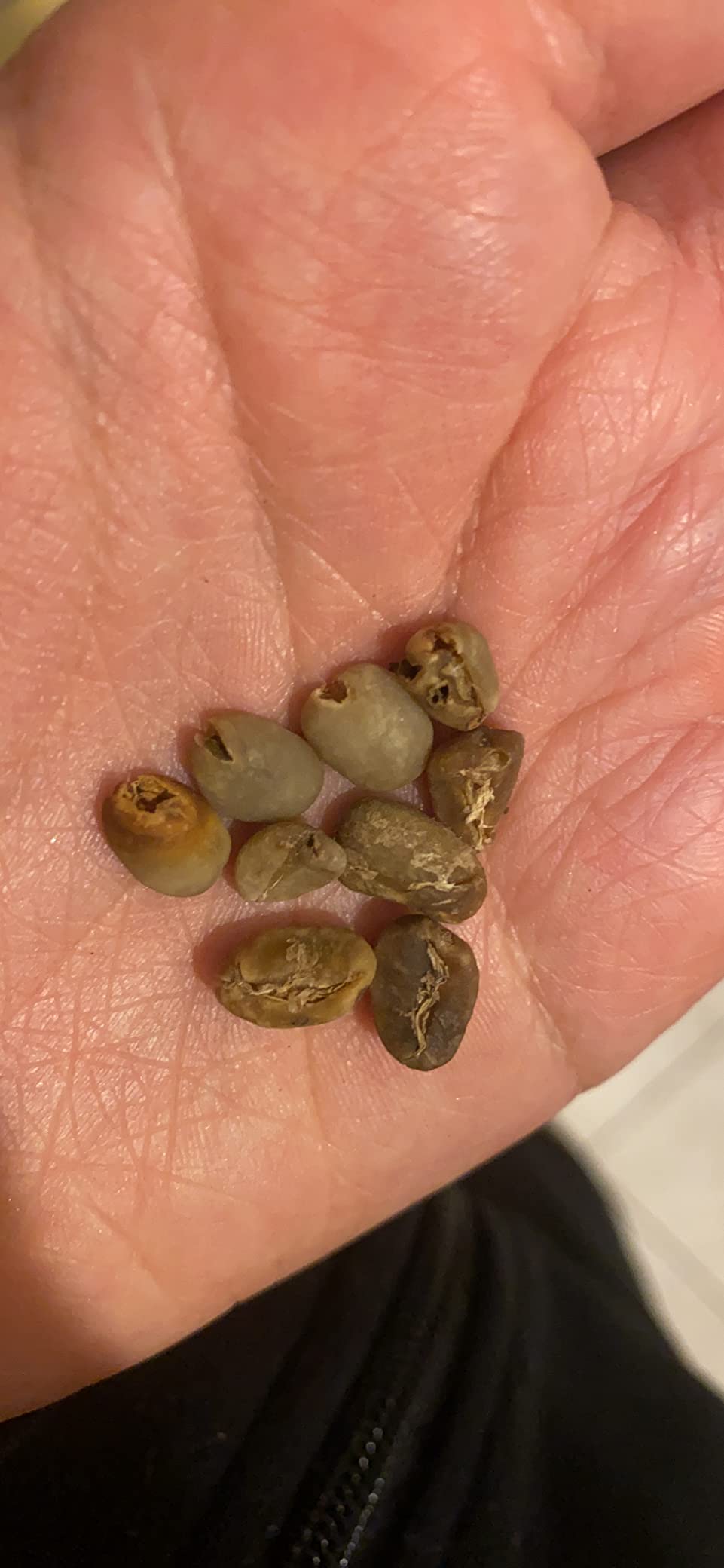 Fresh Roasted Coffee, Adventurer Unroasted Green Coffee Beans Home Roasting Starter Kit, Variety 4-Pack, Kosher, 4 lb (Four 1 lb Bags) customer photo 1