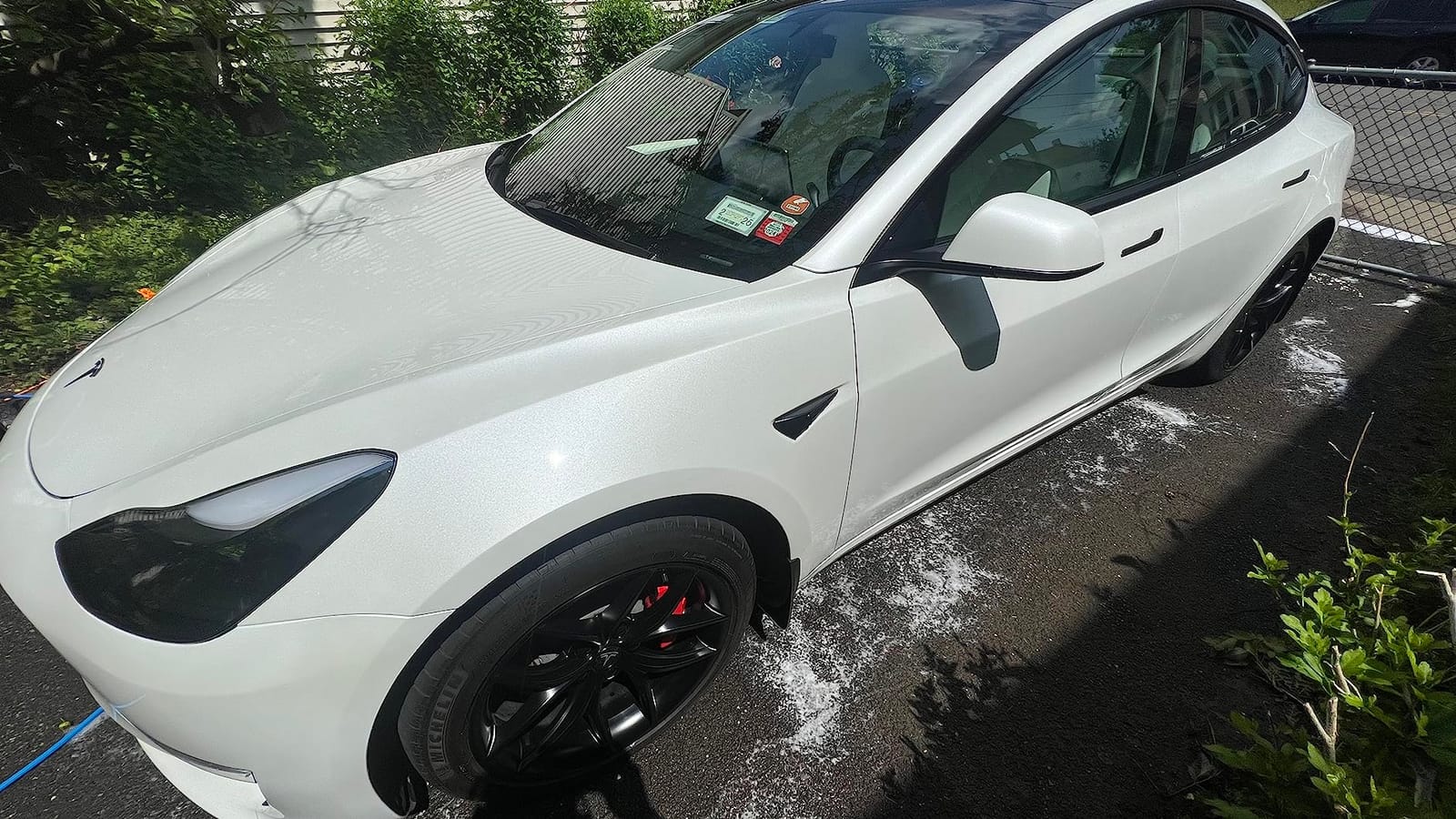 Adam's Polishes Graphene Shampoo Gallon, Graphene Ceramic Coating Infused Car Wash Soap, Powerful Cleaner & Protection In One Step, pH Neutral, High Suds For Foam Cannon, Foam Gun or Detailing Bucket customer photo 2