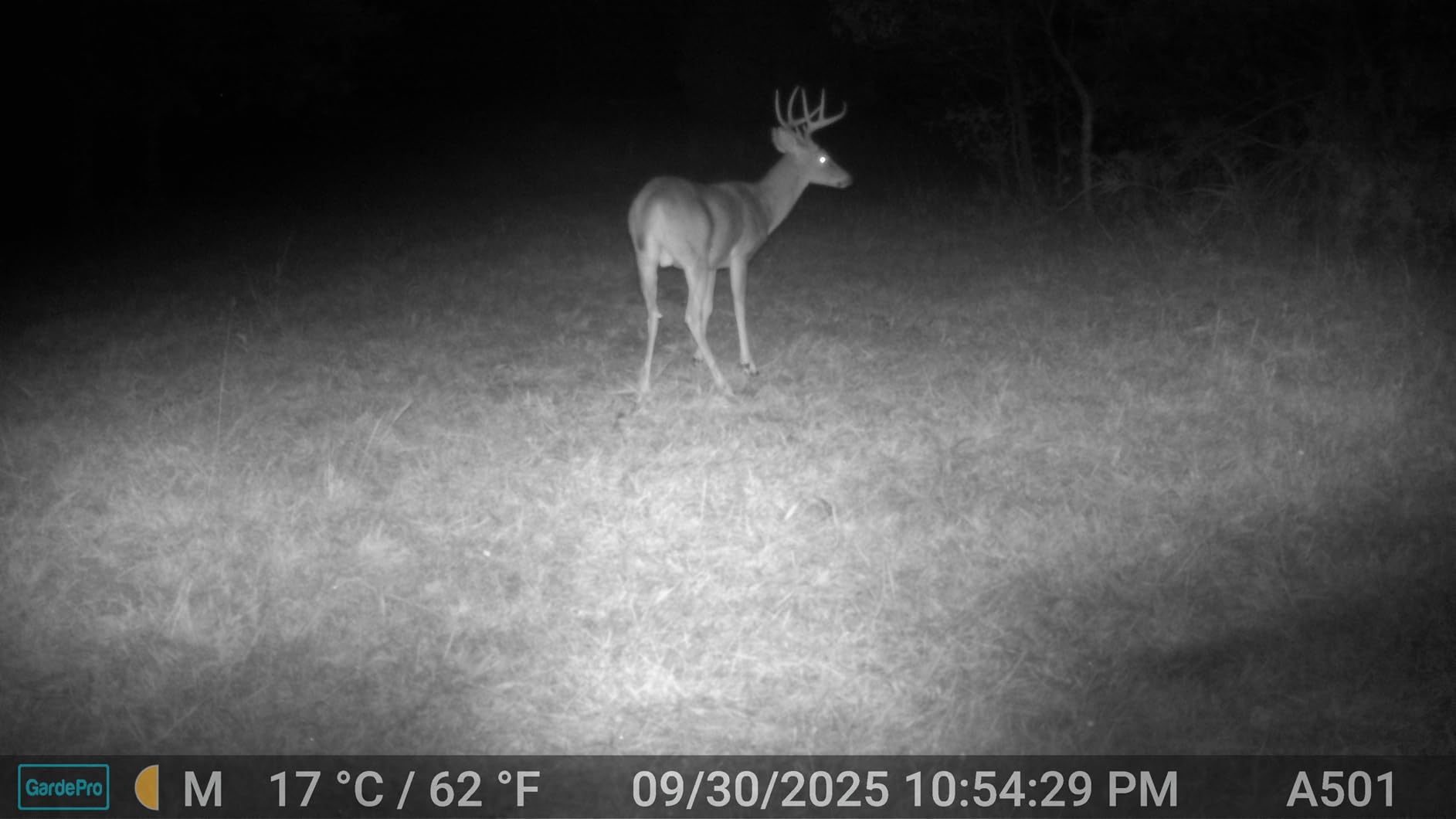 GardePro E5S Non-Cellular Trail Camera, 1296P HD Video with Sound customer photo 1