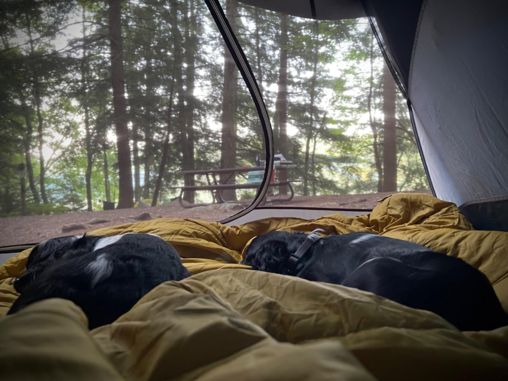 Kelty Tru.Comfort Doublewide 20 Degree Sleeping Bag customer photo 1