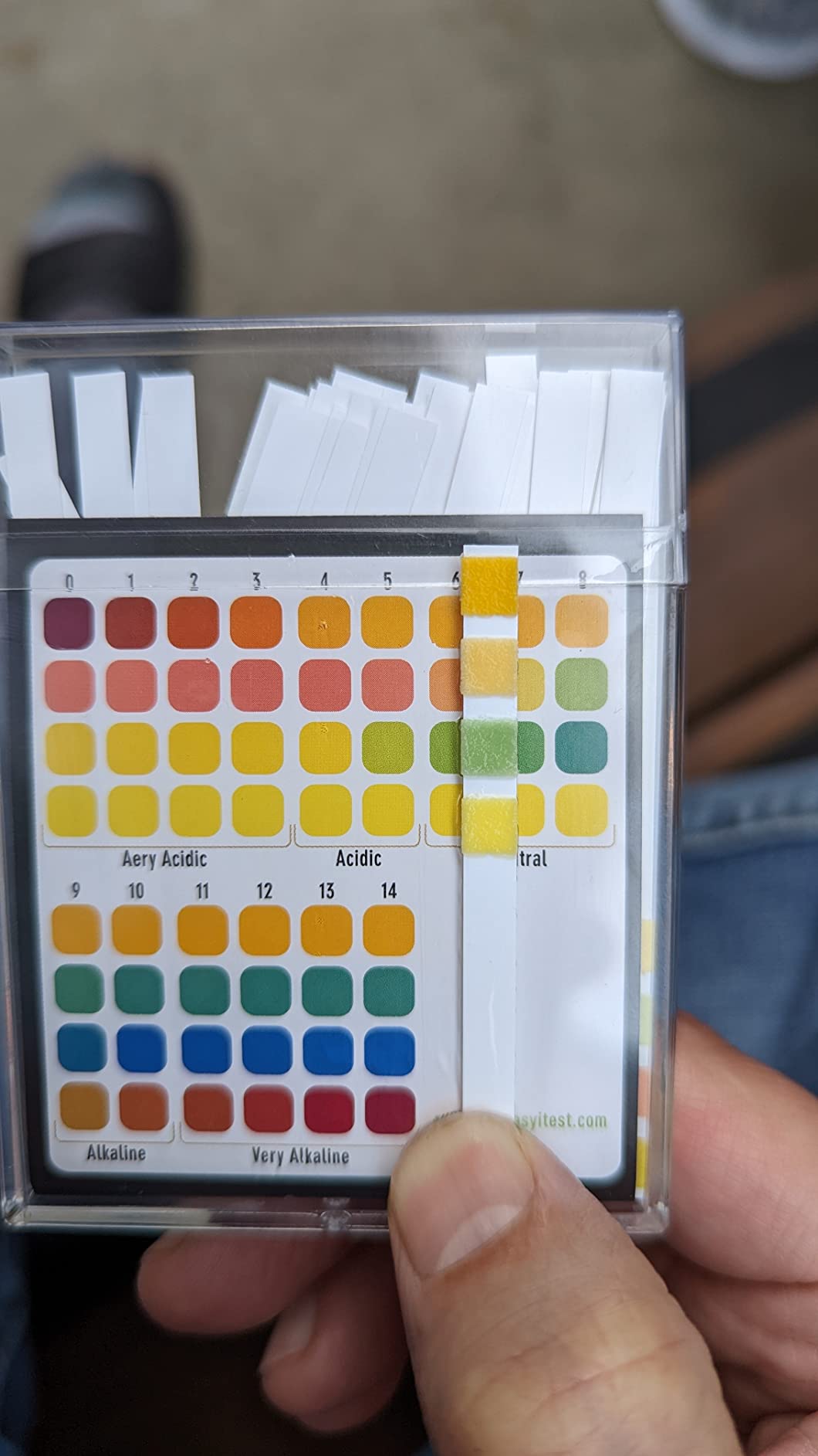 EASYTEST Saltwater Pool Test Strips, 0-8000 ppm, 25 Count customer photo 2