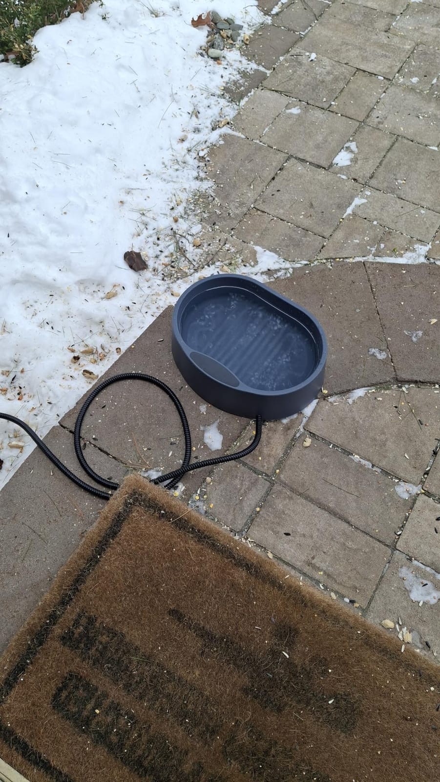 Heated Water Bowl for Dog & Cat, Outdoor Heated Pet Bowl with Anti Chew Cord, Large Heated Dog Bowl Provides Drinkable Water in Winter for Dogs Cats Chickens Birds,0.98 Gallon/125 OZ,35 Watts customer photo 2