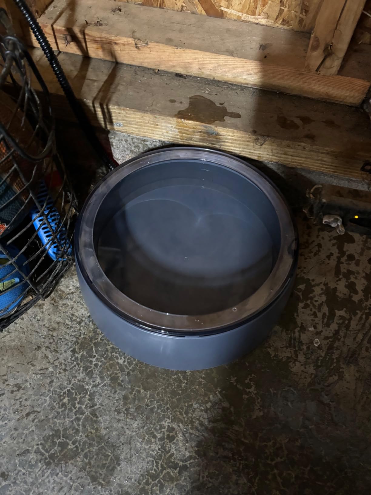 Newget 3L Heated Water Bowl, Outdoor Large Heated Pet Bowl in Winter customer photo 1