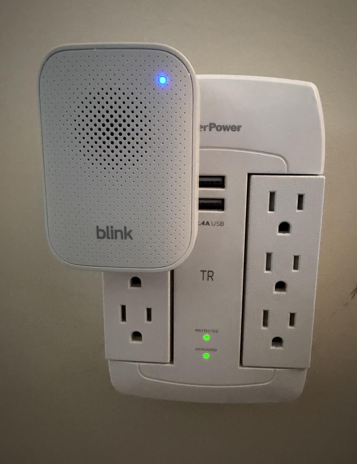 Blink Chime (newest model) — Real-time, audible alerts you can hear anywhere in your home, easy plug-in installation, works with all Blink doorbells customer photo 1